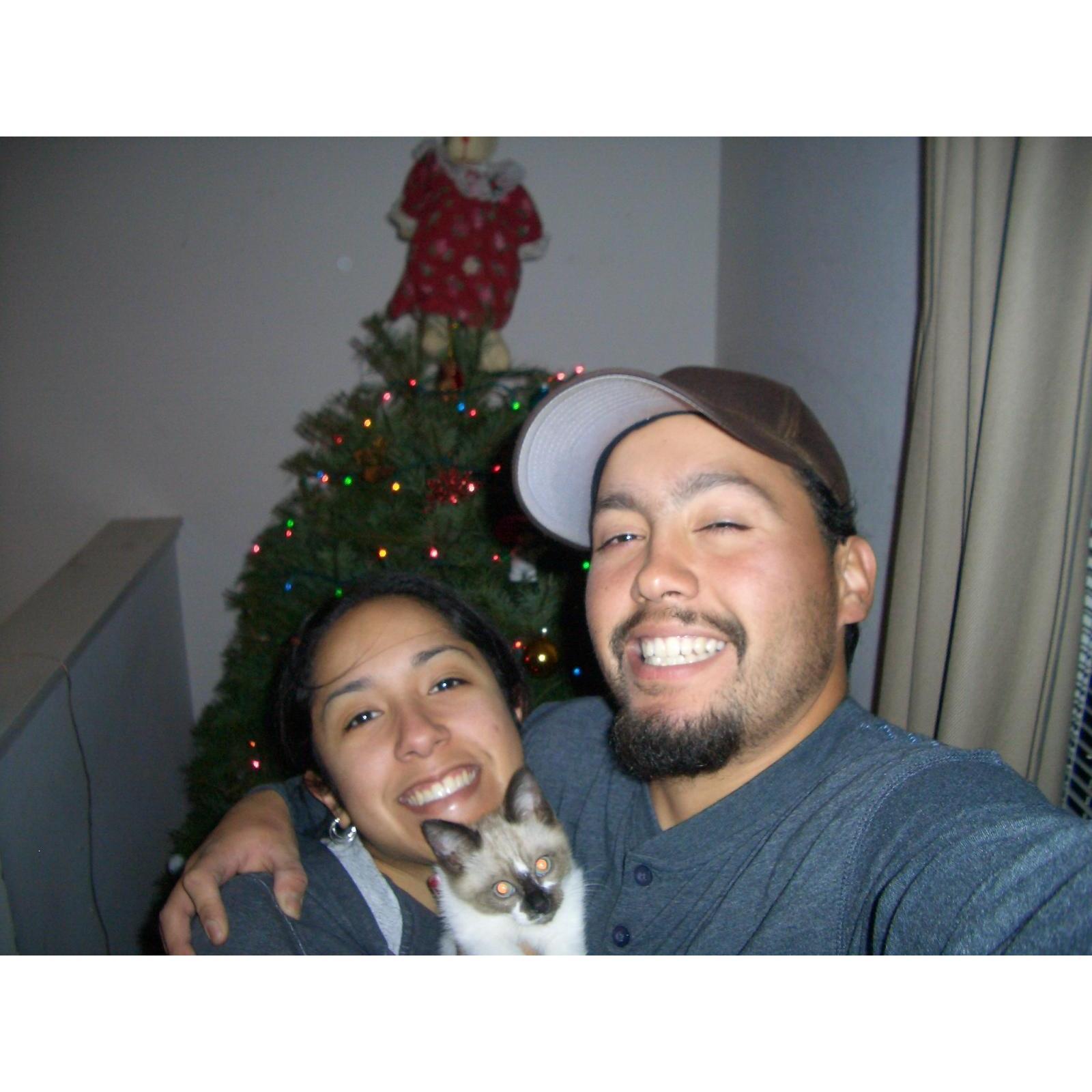 This was our first Christmas with our little fur ball Princess.