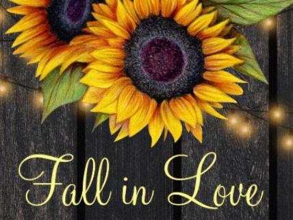 The Wedding Website of Kaitlynn Johnston and Jared LaDart