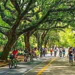 Ibirapuera Park