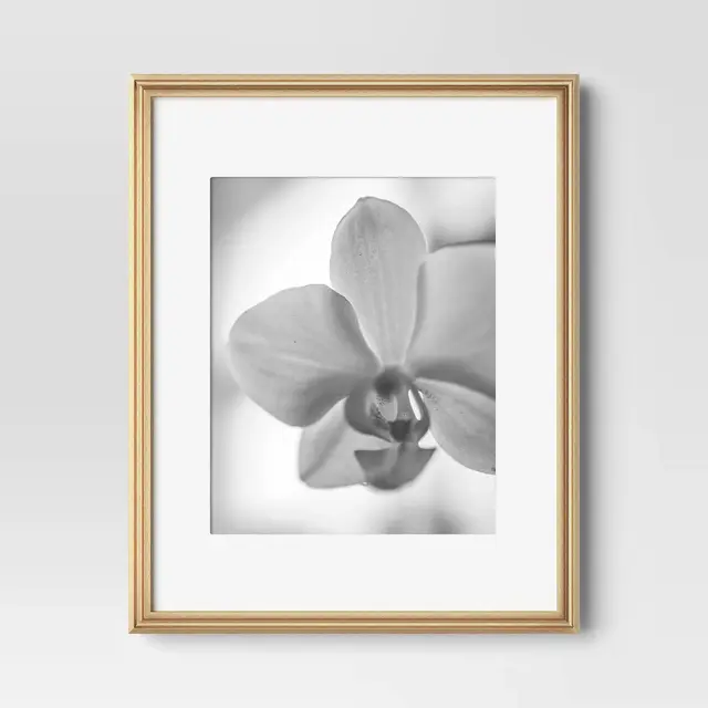 11"x14" Matted to 8"x10" Traditional Value Picture Frame Gold - Room Essentials™