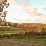 Barboursville Vineyards