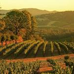 St. Helena, California