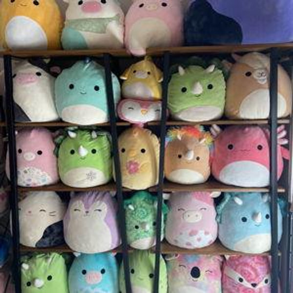 Squishmallow Fund