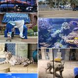 Downtown Aquarium