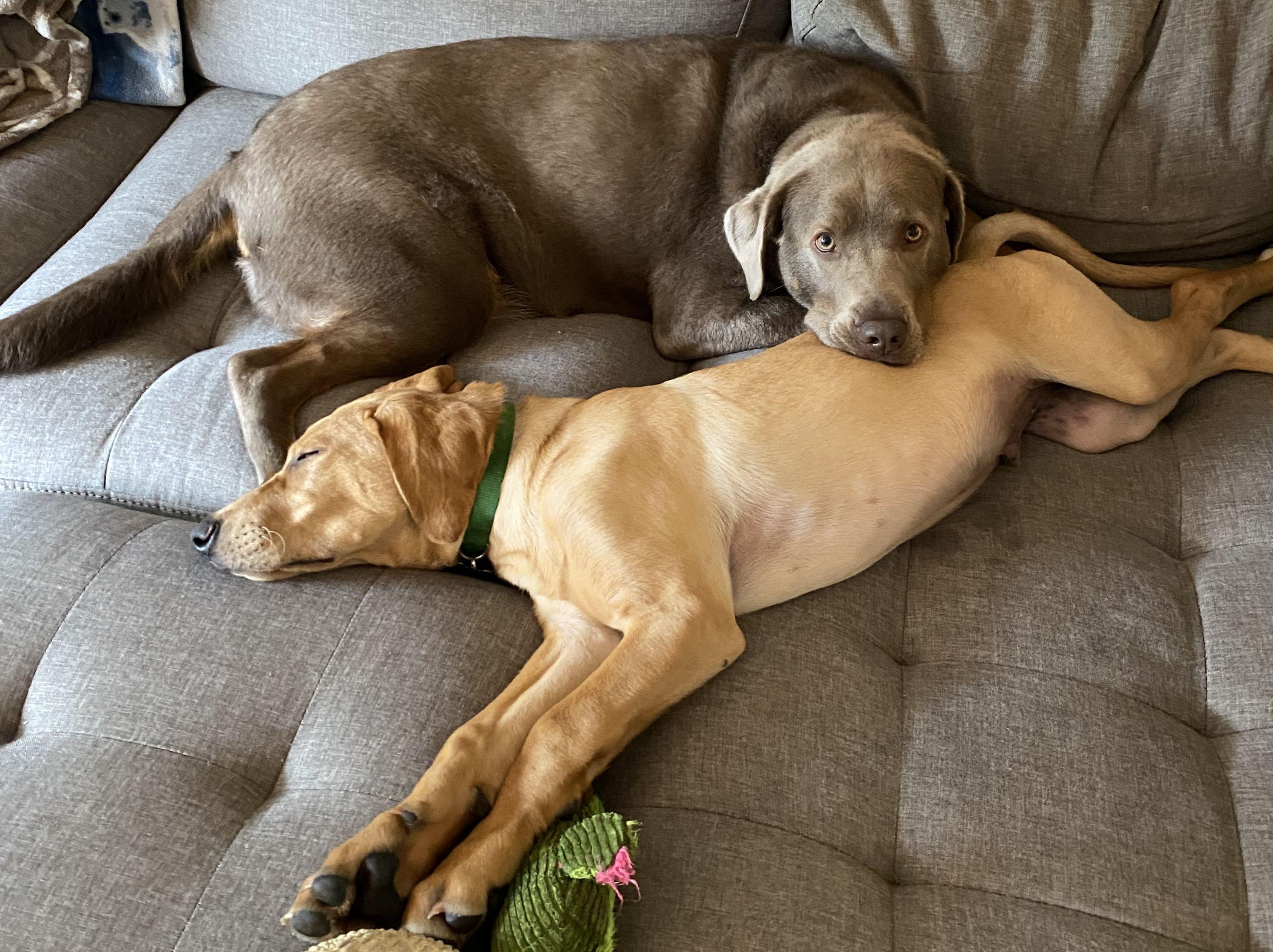 The Wedding Website of Liz Brinkman and Andrew Petersen