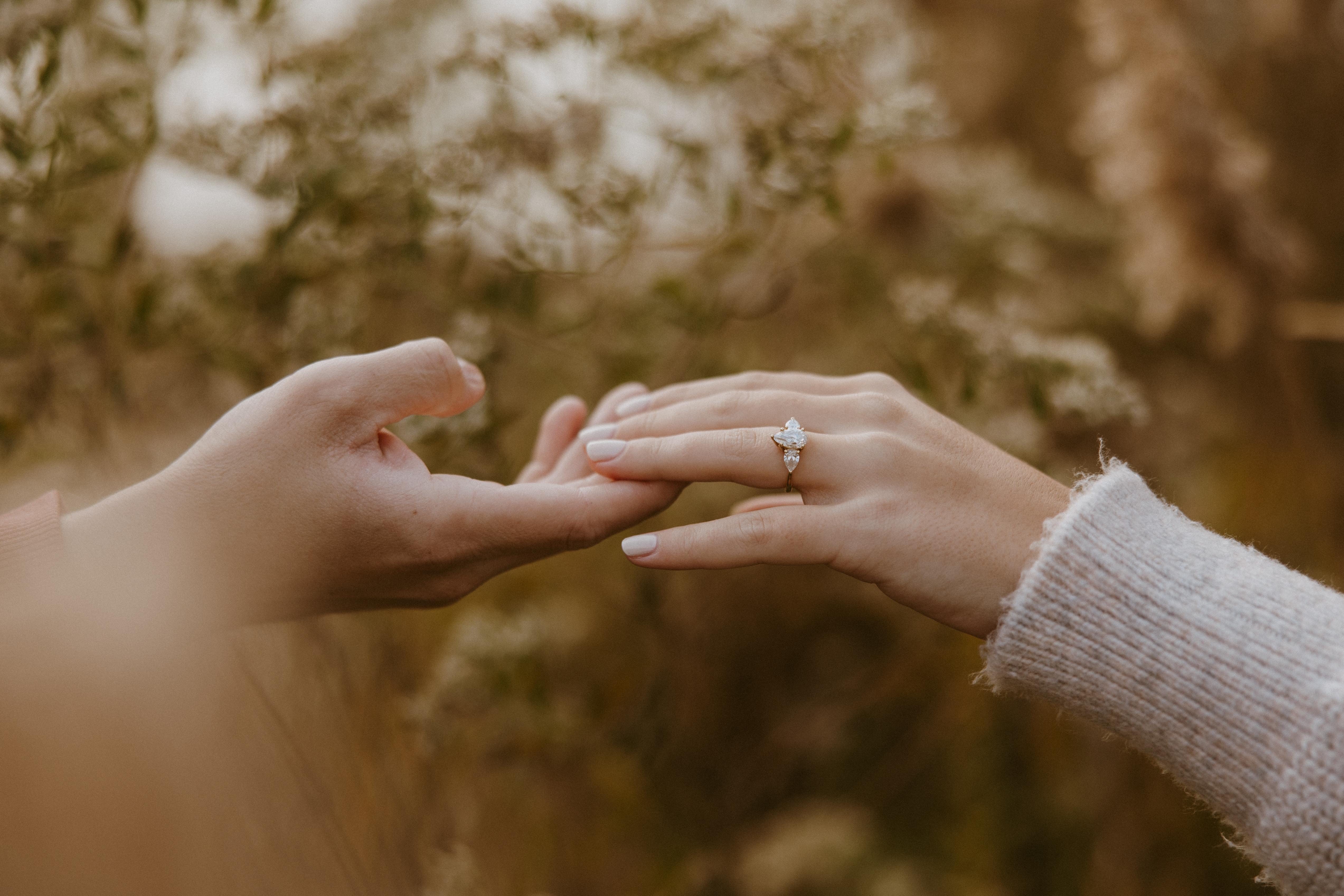 The Wedding Website of Victoria Rose Martin and William Francis Provost