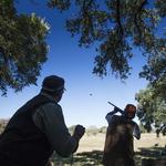 Joshua Creek Ranch