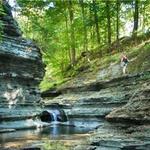 Hiking Tails and State Parks