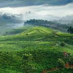 Munnar