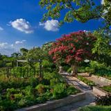 San Antonio Botanical Garden