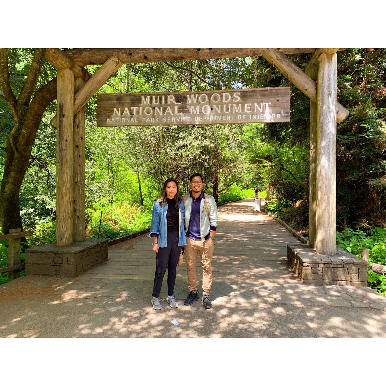 MUIR WOODS
