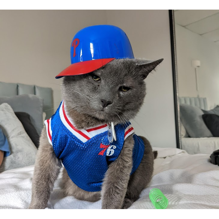 Adopting Brontosaurus Rex