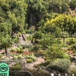 Japanese Tea Garden