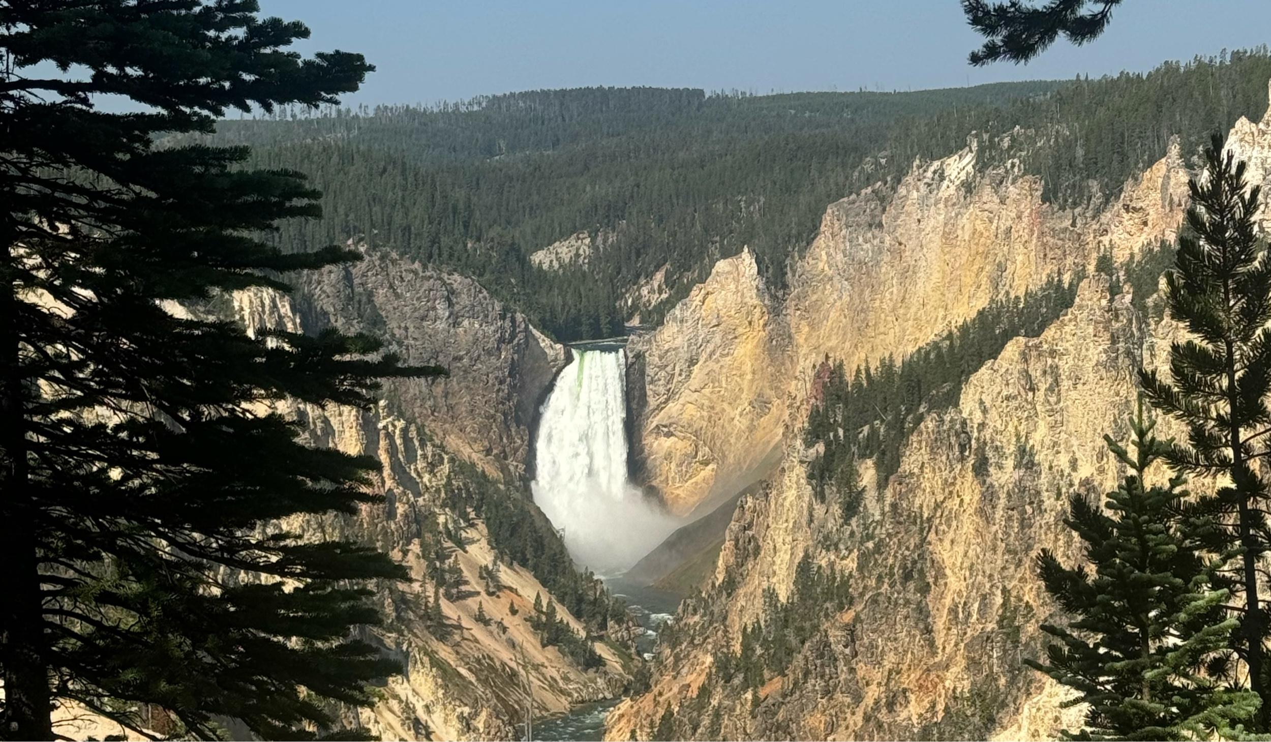 63a175ee-db87-4f21-ae31-4a3afbcabad9