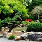 Birmingham Botanical Gardens