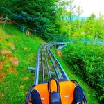 Mustang Mountain Coaster