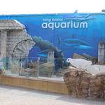 Long Island Aquarium