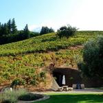 Bella Vineyards & Wine Caves