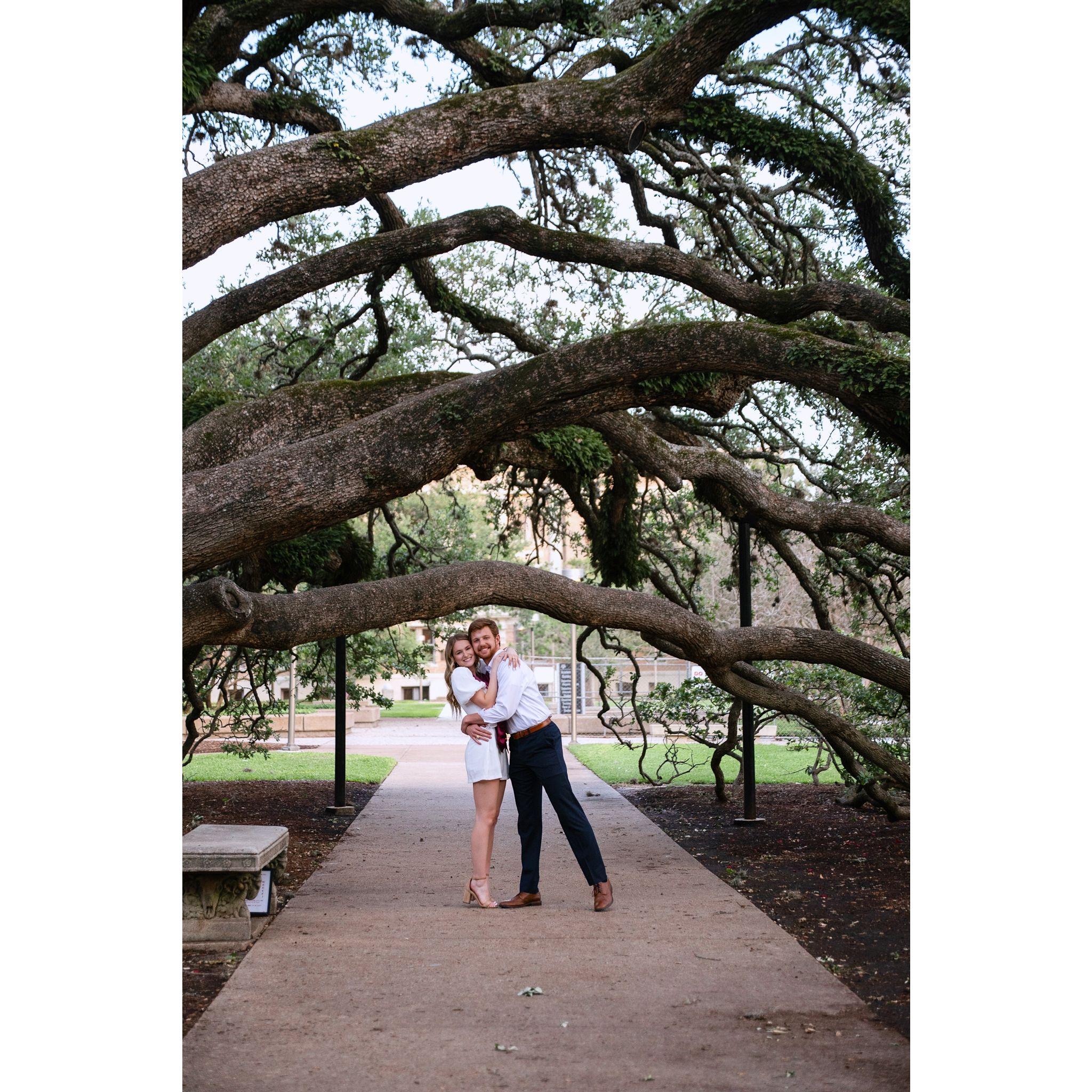 Under the Century Tree!