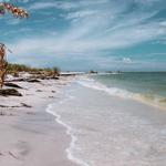 Honeymoon Island State Park