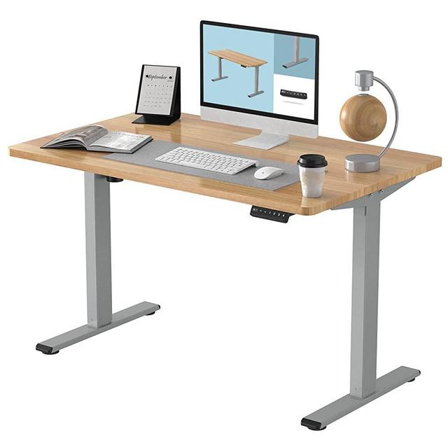FLEXISPOT EN1 Electric Stand Up Desk Workstation 48 x 30 Inches Whole-Piece Desktop Ergonomic Memory Controller Height Adjustable Standing Desk (Gray Frame + 48" Maple Top)
