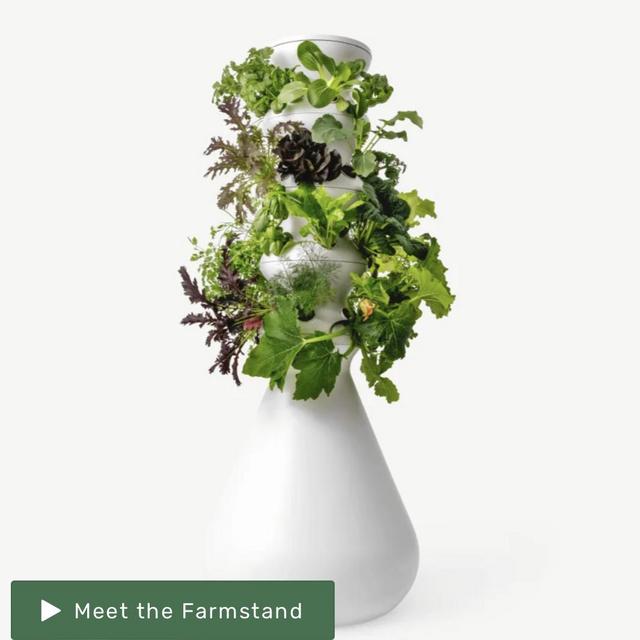 THE FARMSTAND