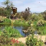 Alta Vista Botanical Gardens