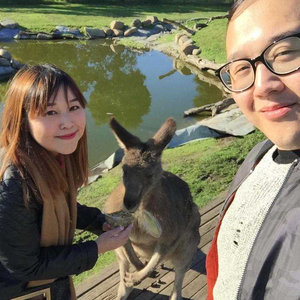 Feeding the Kangaroo