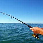 Bait a bass or brown bullhead: Lucky Buck Fishing Charters