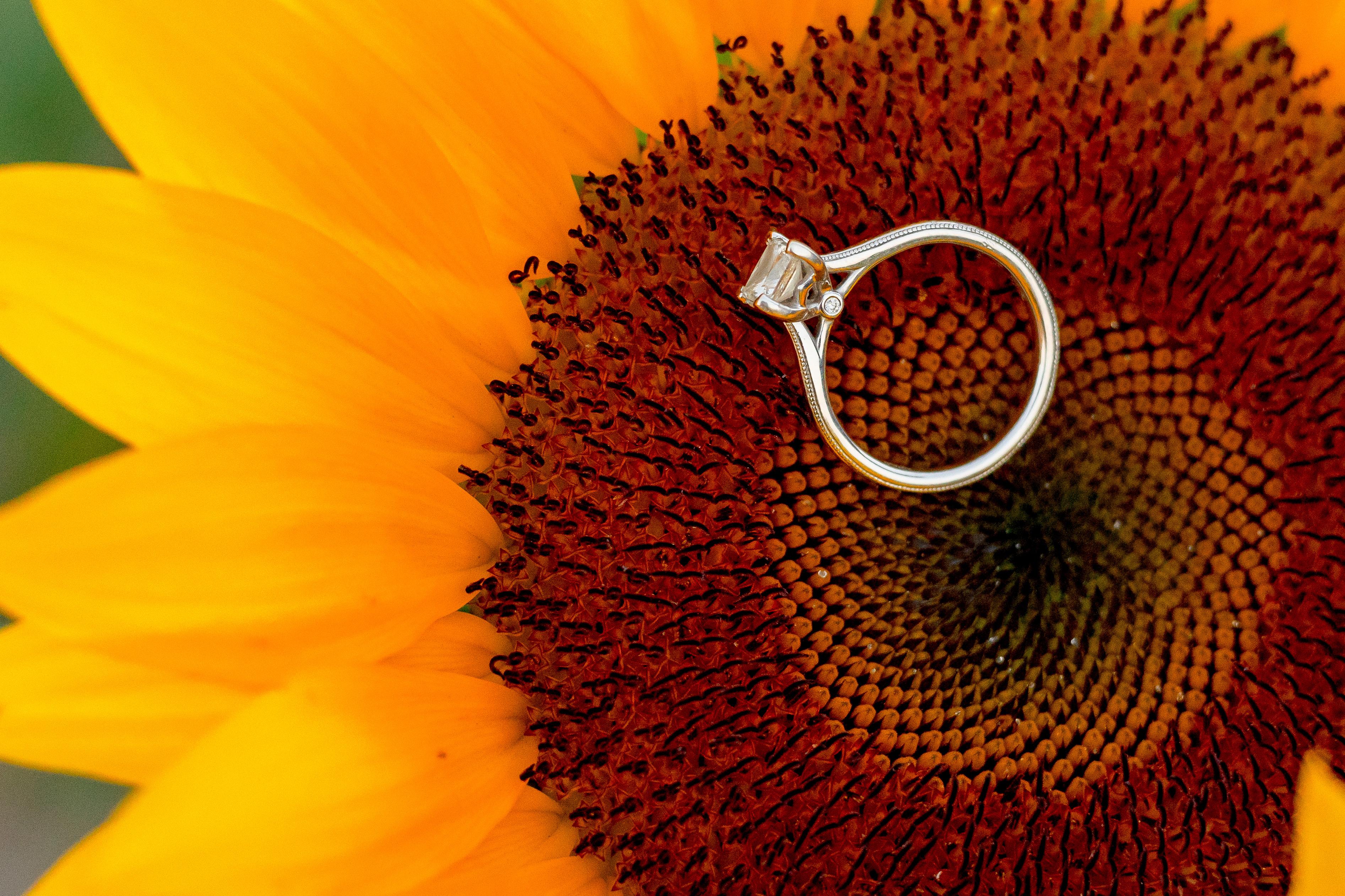The Wedding Website of Carolina Otero and José Barajas