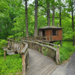 Tyler Arboretum