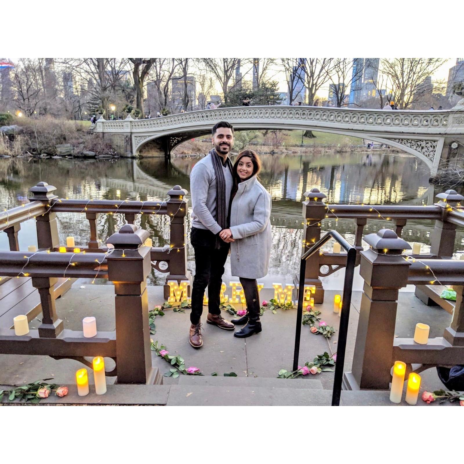 Proposal at Central Park, NY