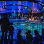 New England Aquarium