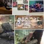 SEA Discovery Center