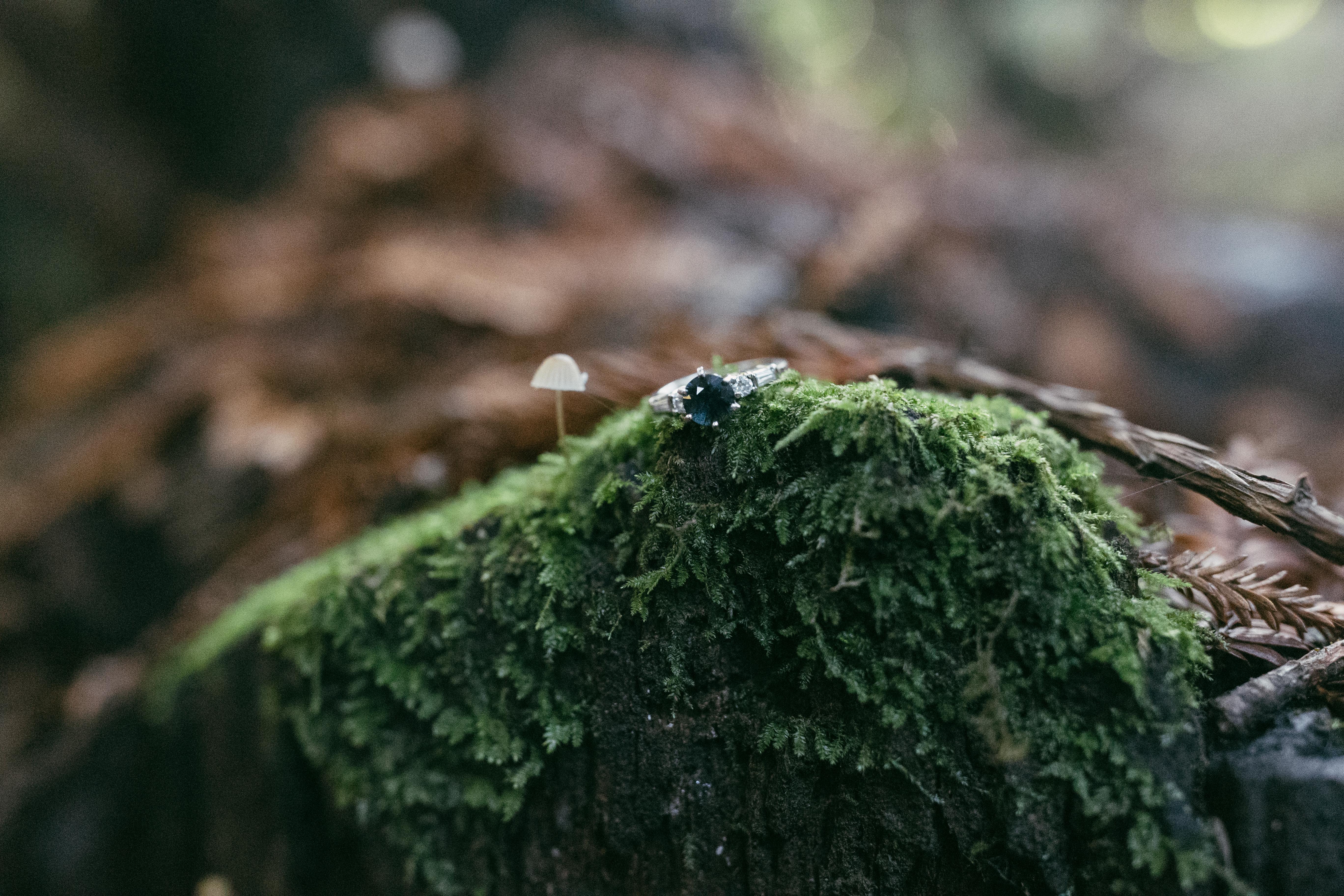 The Wedding Website of Abbie Suess-Rubin and Tyler Sullens