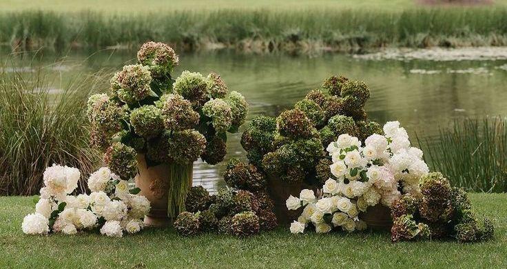 The Wedding Website of Michael Cox and Anika Bautista