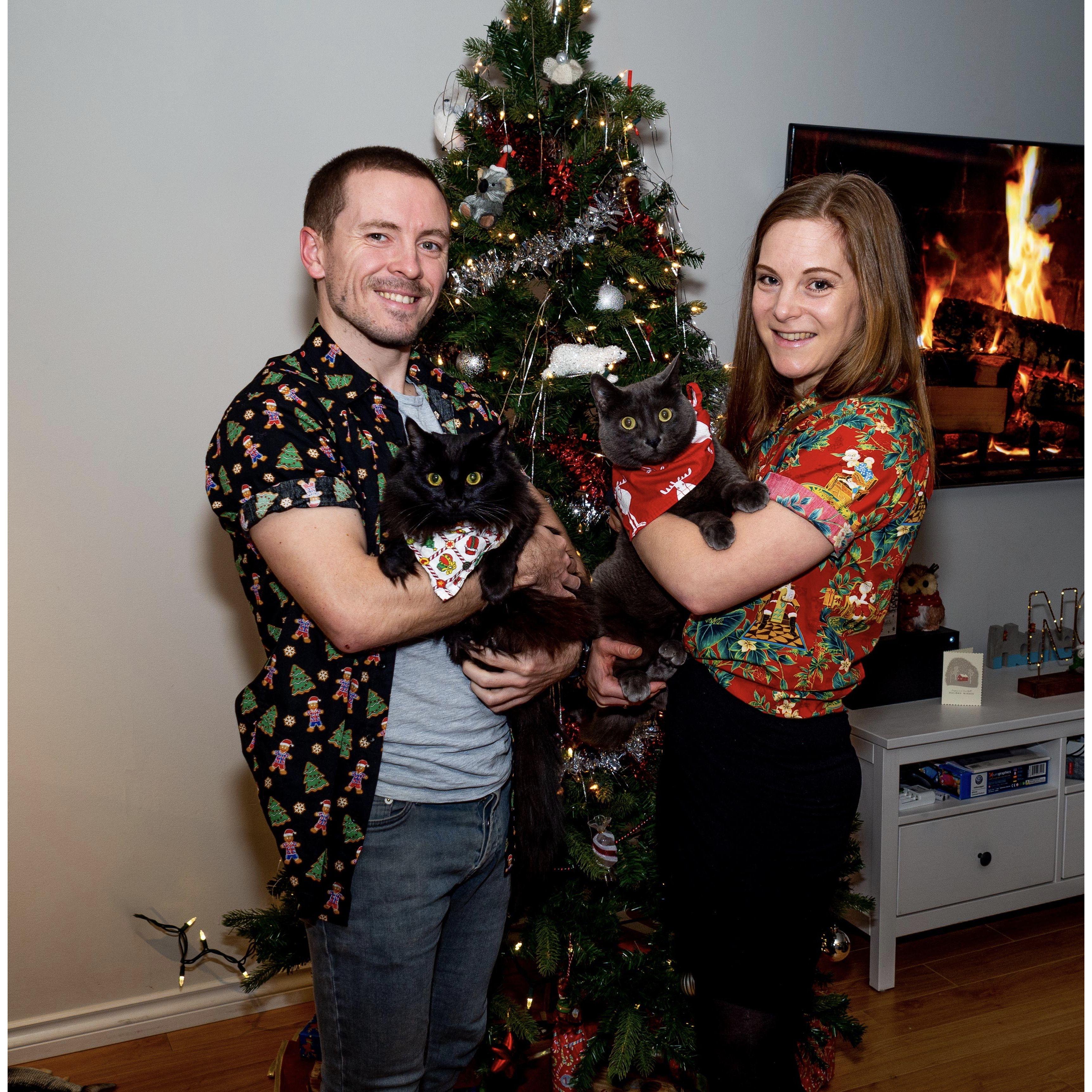 Family portrait: No gallery of pictures would be complete without at least one of our kitty cats