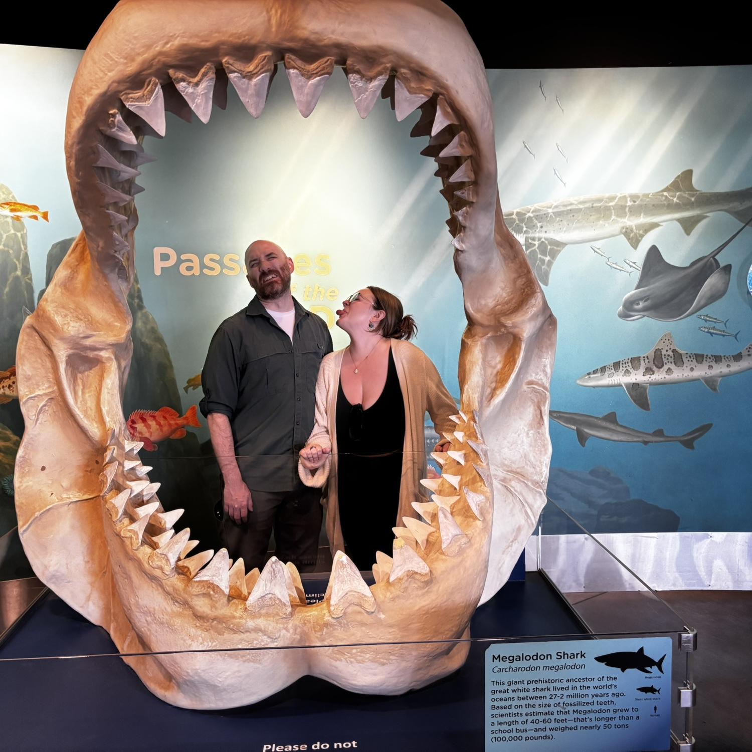 Visiting Jenna at the Oregon Coast Aquarium