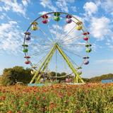 Mainstay Farm
