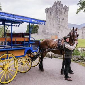 Honeymoon in Ireland - Killarney Whiskey Tasting & Carriage Ride