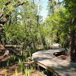 Camp Salmen Nature Park