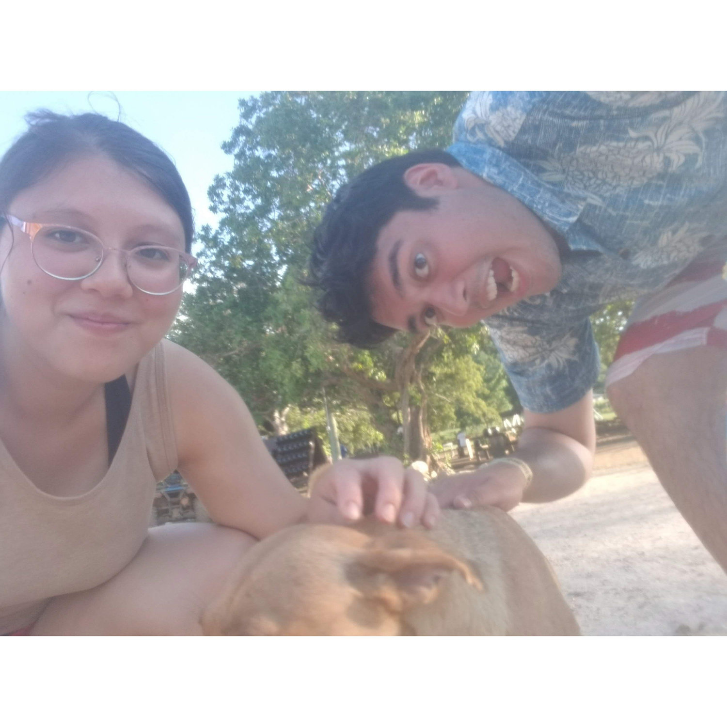 We found a dog