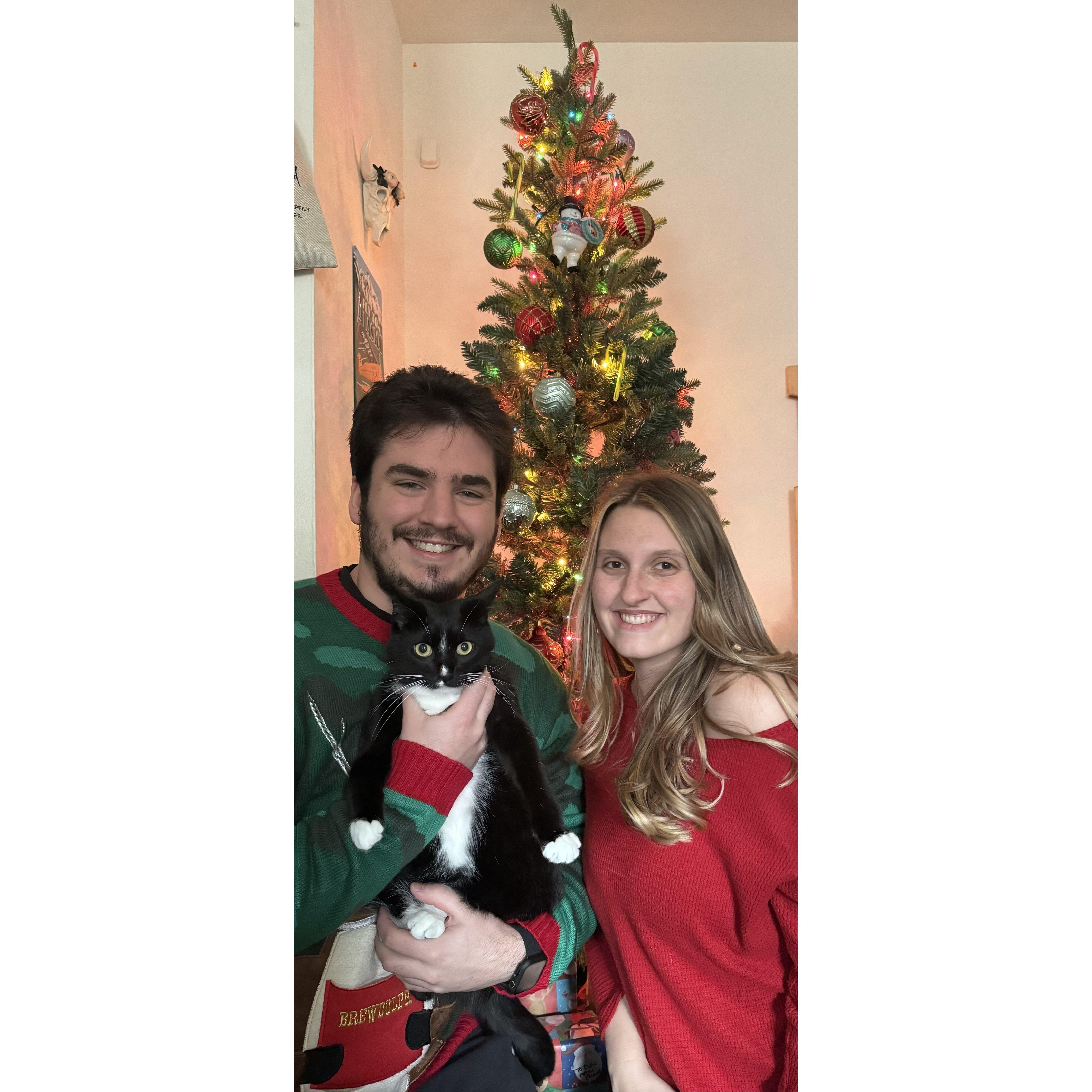a Christmas family photo