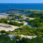 Cape Cod National Seashore