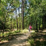 George Mitchell Nature Preserve