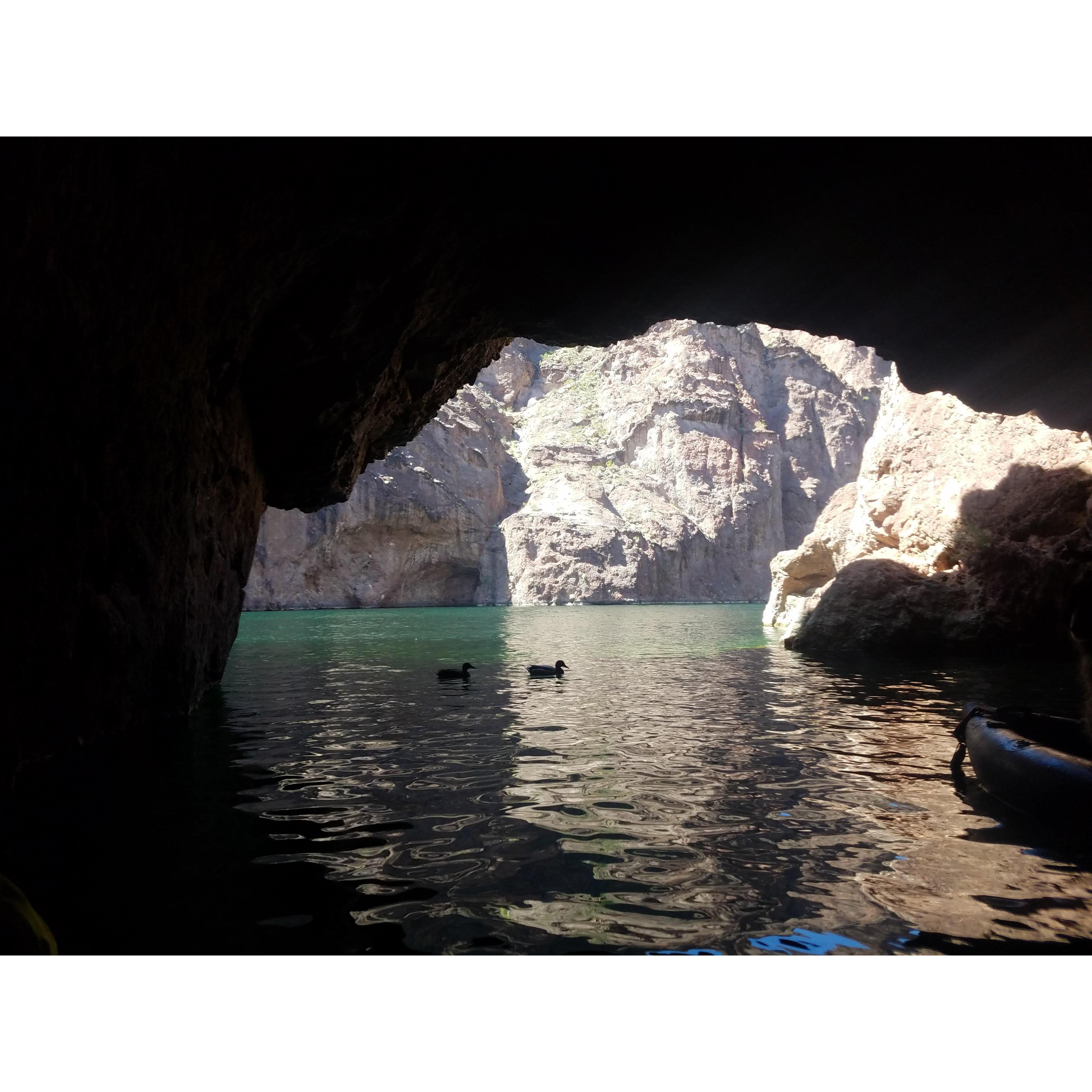 Emerald Cove and the mated pair of ducks