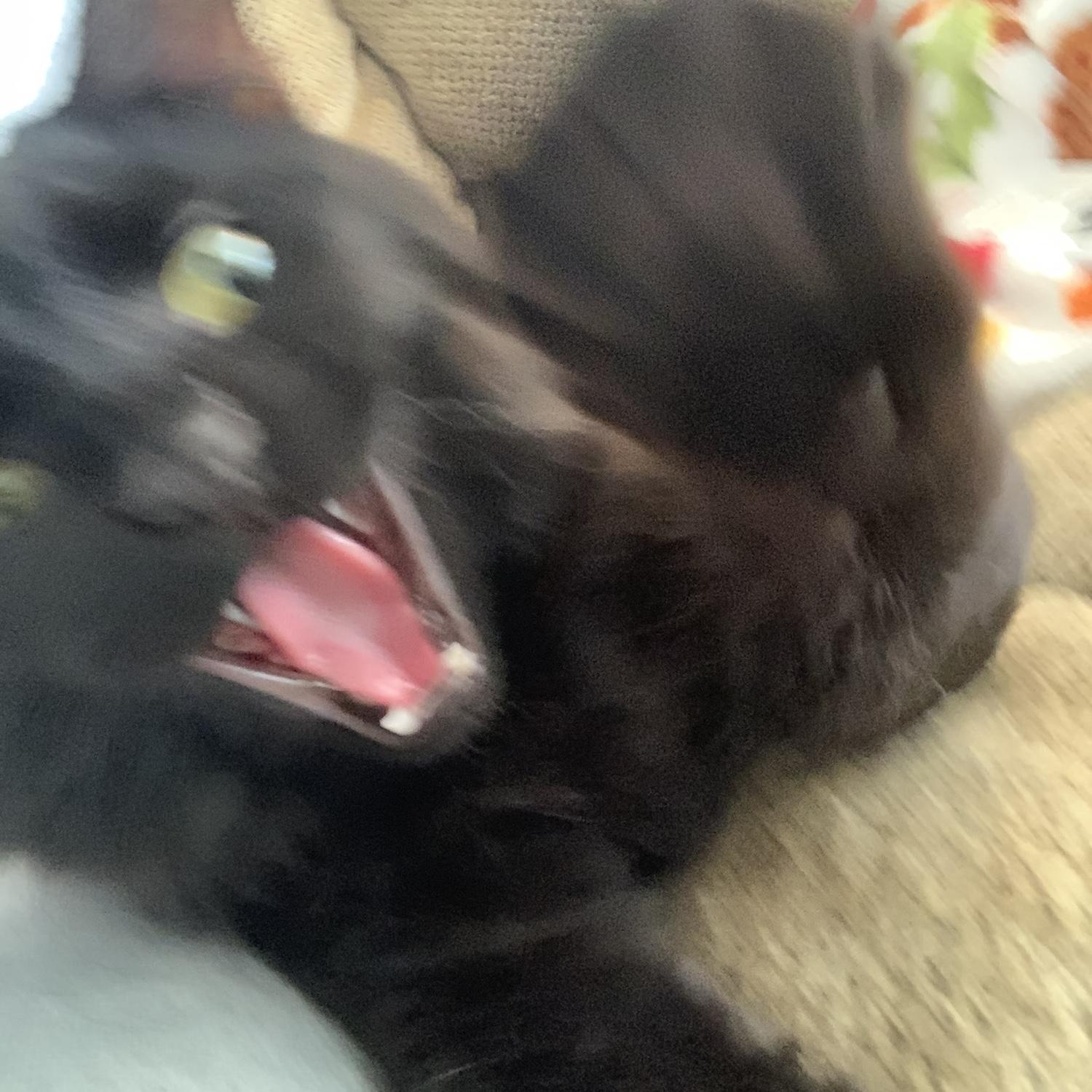 Bumi personality pic