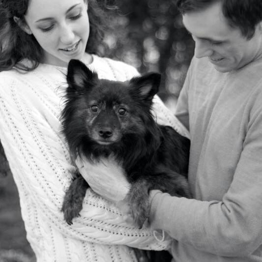 Thanksgiving 2015. Our dog Max.