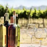 LXV Wine & Pairings Tasting Room