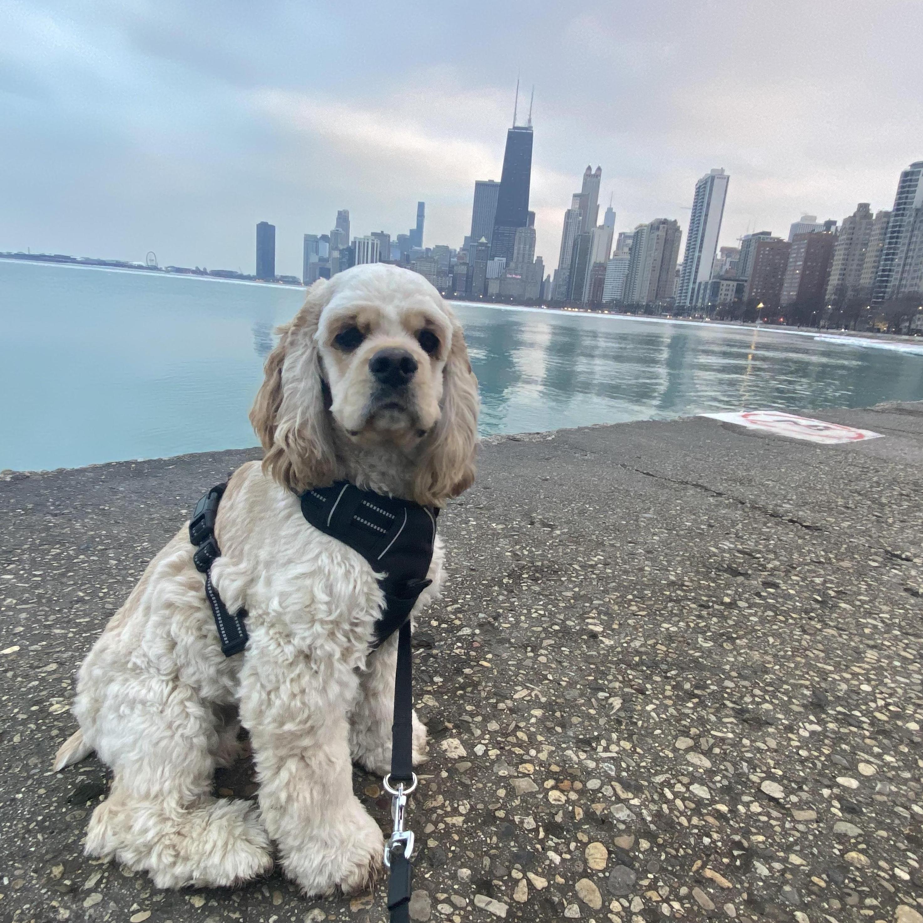 The day we finally made it to Chicago!